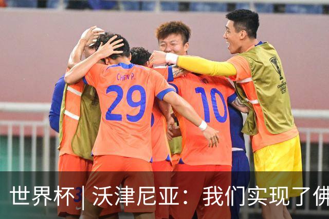 世界杯 | 沃津尼亚：我们实现了佛得角人民的梦想