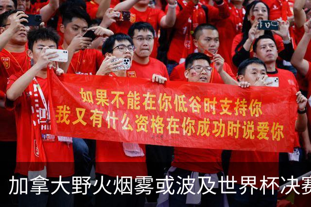 加拿大野火烟雾或波及世界杯决赛 空气污染影响竞技状态