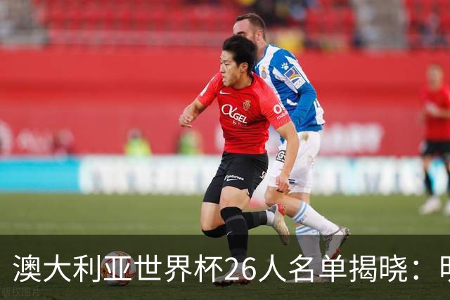 澳大利亚世界杯26人名单揭晓：明星球员齐聚